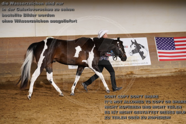 s_DSC01151.JPG